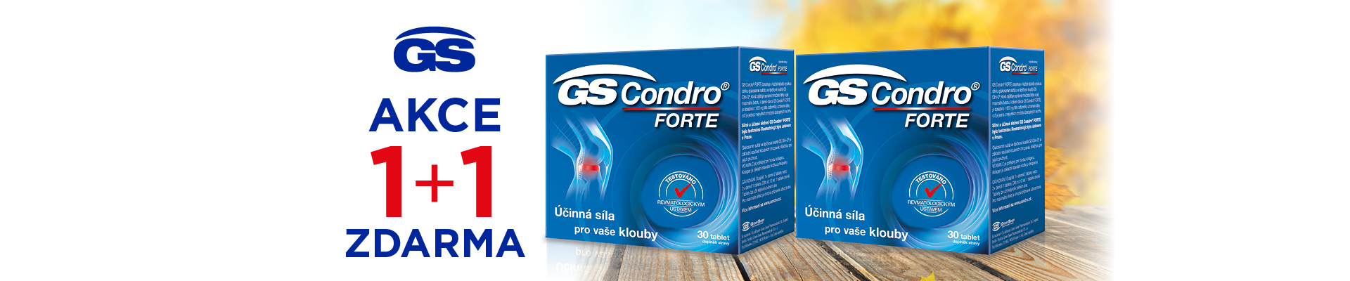 Akce 1+1 ZDARMA GS Condro Forte